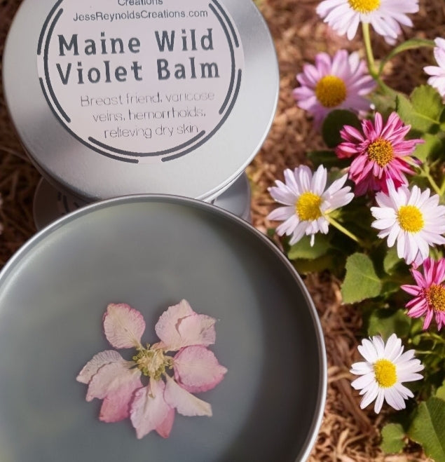 Maine Wild Violets