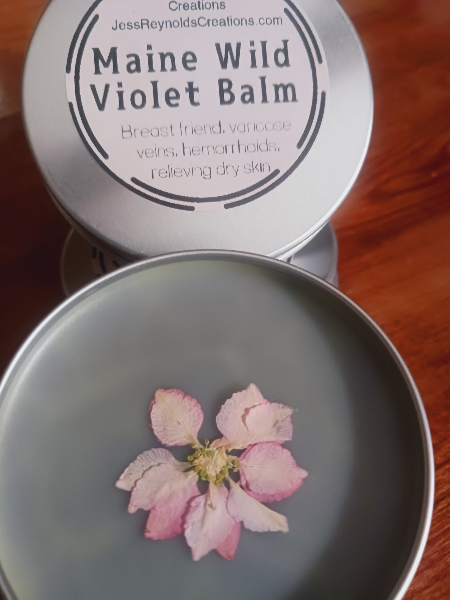 Maine Wild Violets