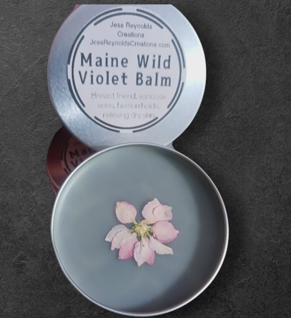 Maine Wild Violets